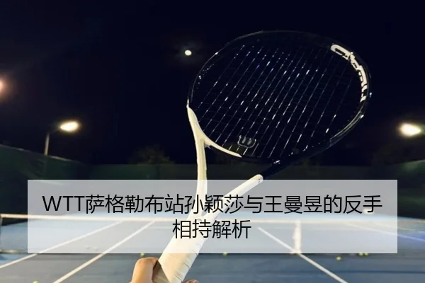 sa-ge-lei-bu-zhan-sun-ying-sha-yu-wang-man-yu-de-fan-shou-xiang-chi-jie-xi-2-187.jpg